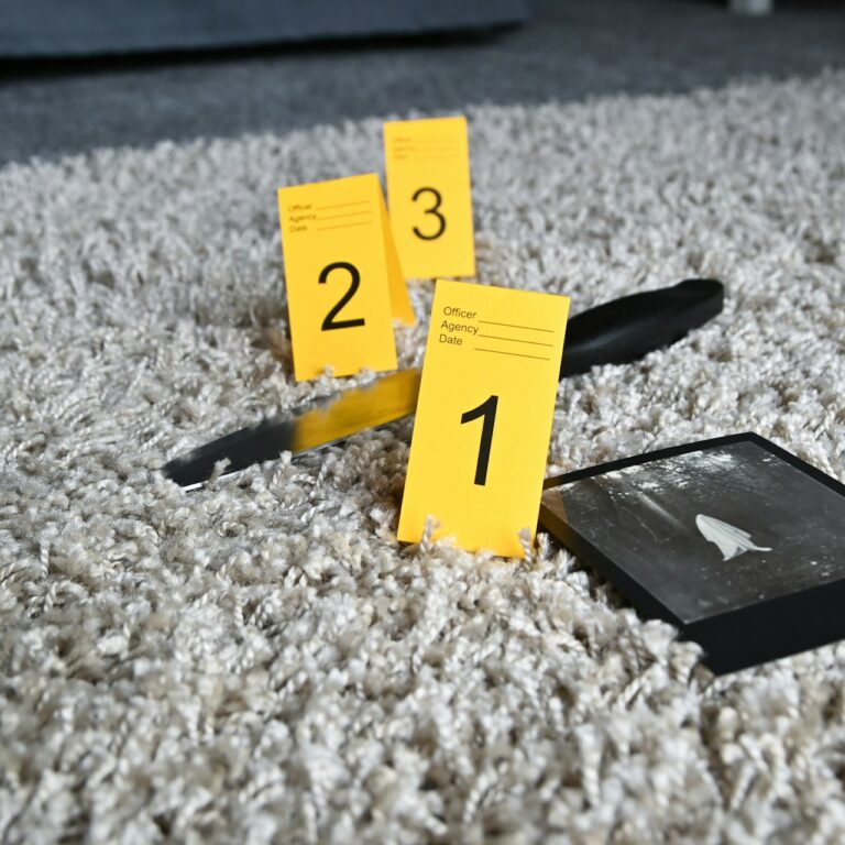 Murder Mystery Game